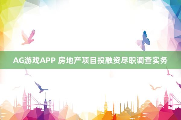AG游戏APP 房地产项目投融资尽职调查实务