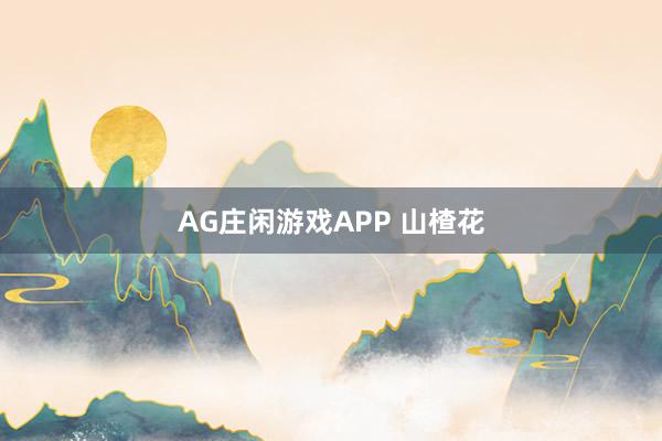 AG庄闲游戏APP 山楂花