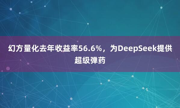 幻方量化去年收益率56.6%，为DeepSeek提供超级弹药
