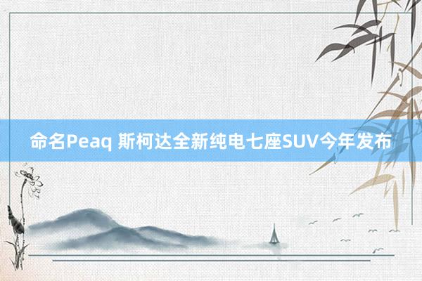 命名Peaq 斯柯达全新纯电七座SUV今年发布