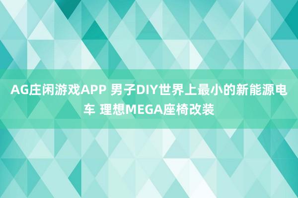 AG庄闲游戏APP 男子DIY世界上最小的新能源电车 理想MEGA座椅改装
